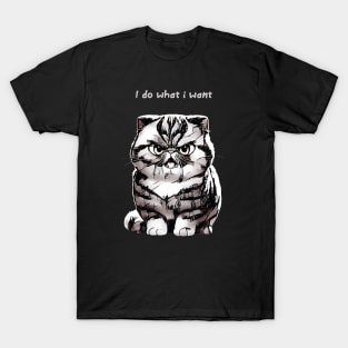 I Do What I Want --- T-Shirt